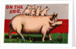 On the Hog Postcard by Anonymous