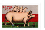 On the Hog Postcard by Anonymous