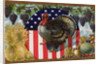 Thanksgiving Postcard with Turkey and Stars and Stripes Motif by Anonymous