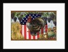 Thanksgiving Postcard with Turkey and Stars and Stripes Motif by Anonymous
