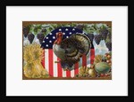 Thanksgiving Postcard with Turkey and Stars and Stripes Motif by Anonymous