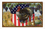 Thanksgiving Postcard with Turkey and Stars and Stripes Motif by Anonymous