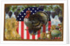 Thanksgiving Postcard with Turkey and Stars and Stripes Motif by Anonymous