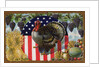 Thanksgiving Postcard with Turkey and Stars and Stripes Motif by Anonymous