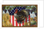 Thanksgiving Postcard with Turkey and Stars and Stripes Motif by Anonymous