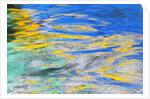 Canal Reflection by Anonymous