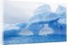 Fantastically Shaped Iceberg by Anonymous