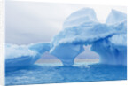 Fantastically Shaped Iceberg by Anonymous