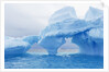 Fantastically Shaped Iceberg by Anonymous