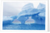 Fantastically Shaped Iceberg by Anonymous