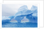 Fantastically Shaped Iceberg by Anonymous