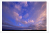 Colorful Clouds at Sunset by Anonymous