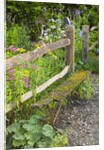 Flower Garden with Old Wood Fence by Anonymous