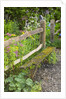 Flower Garden with Old Wood Fence by Anonymous