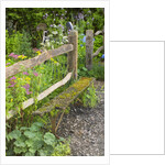 Flower Garden with Old Wood Fence by Anonymous
