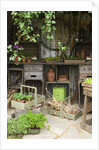Potting Shed in Garden at Hampton Court Flower Show by Anonymous