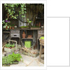 Potting Shed in Garden at Hampton Court Flower Show by Anonymous