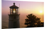 Sunset at Heceta Head Lighthouse in Oregon by Anonymous