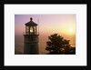 Sunset at Heceta Head Lighthouse in Oregon by Anonymous