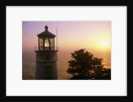 Sunset at Heceta Head Lighthouse in Oregon by Anonymous