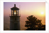Sunset at Heceta Head Lighthouse in Oregon by Anonymous