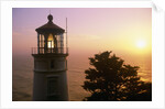 Sunset at Heceta Head Lighthouse in Oregon by Anonymous