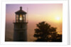 Sunset at Heceta Head Lighthouse in Oregon by Anonymous