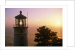 Sunset at Heceta Head Lighthouse in Oregon by Anonymous