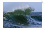 Large Wave at the Oregon Coast by Anonymous