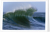 Large Wave at the Oregon Coast by Anonymous