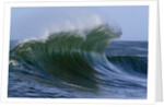 Large Wave at the Oregon Coast by Anonymous
