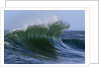 Large Wave at the Oregon Coast by Anonymous