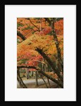 Autumn in Koya-san by Anonymous