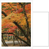 Autumn in Koya-san by Anonymous