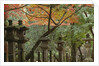 Lanterns at Kasuga Taishi Shine by Anonymous