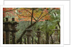 Lanterns at Kasuga Taishi Shine by Anonymous