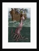 Illustration of the Crew of the Alecton Attempting to Catch a Giant Squid by Anonymous