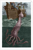 Illustration of the Crew of the Alecton Attempting to Catch a Giant Squid by Anonymous