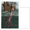 Illustration of the Crew of the Alecton Attempting to Catch a Giant Squid by Anonymous
