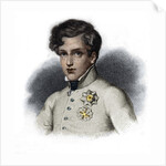 Portrait of Napoleon II, Duke of Reichstadt by Anonymous