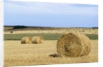 View of a field of haystacks by Anonymous