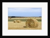 View of a field of haystacks by Anonymous