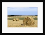 View of a field of haystacks by Anonymous
