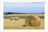 View of a field of haystacks by Anonymous