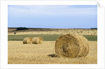 View of a field of haystacks by Anonymous