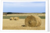 View of a field of haystacks by Anonymous