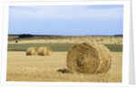 View of a field of haystacks by Anonymous