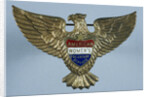 AWVS Membership Pin by Anonymous