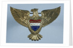 AWVS Membership Pin by Anonymous