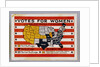 Votes for Women Stamp by Anonymous